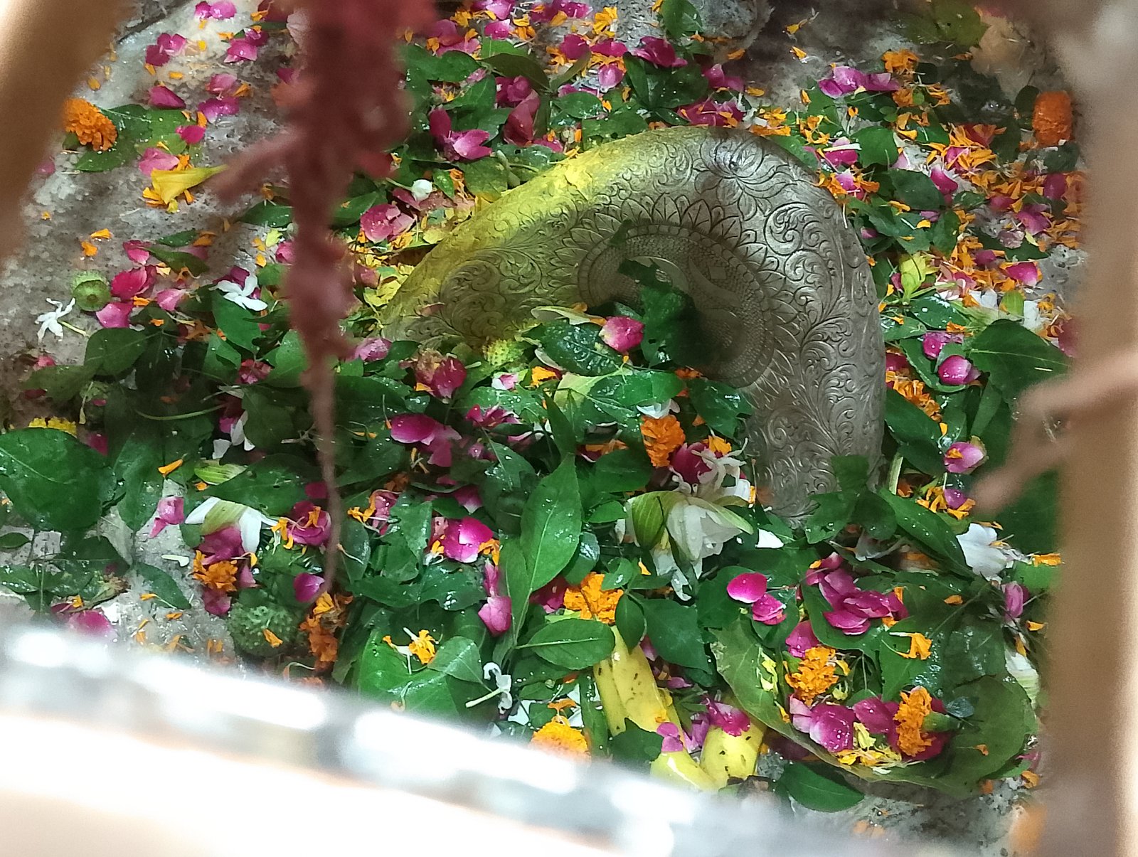 गोला गोकर्णनाथ शिव मंदिर में 10 रुपये में भरपेट भोजन, रोजाना 500 से अधिक श्रद्धालु उठा रहे लाभ